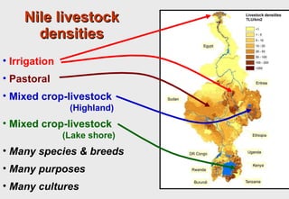 Towards an understanding of livestock water productivity in the Nile River Basin