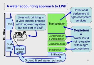 Towards an understanding of livestock water productivity in the Nile River Basin