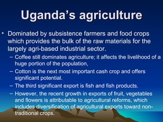 Uganda’s agriculture Dominated by subsistence farmers and food crops which provides the bulk of the raw materials for the largely agri-based industrial sector.  Coffee still dominates agriculture; it affects the livelihood of a huge portion of the population,  Cotton is the next most important cash crop and offers significant potential.  The third significant export is fish and fish products. However, the recent growth in exports of fruit, vegetables and flowers is attributable to agricultural reforms, which includes diversification of agricultural exports toward non-traditional crops.  