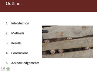 Smallholder pig producers and their pork consumption practices in three districts in Uganda