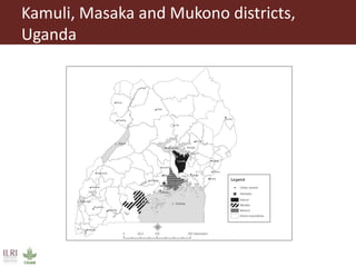 Smallholder pig producers and their pork consumption practices in three districts in Uganda