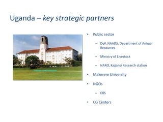 Update on fish value chain development in Uganda