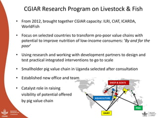 Introduction to ILRI and overview of value chain approach