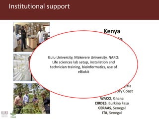 Better lives through livestock: ILRI overview