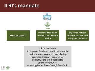 Better lives through livestock: ILRI overview