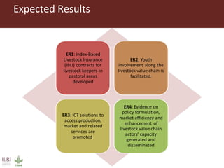 Connecting livestock keepers in Eastern Africa to markets to enhance resilience