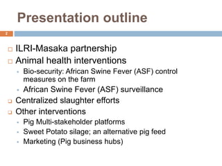 Presentation outline
2
 ILRI-Masaka partnership
 Animal health interventions
 Bio-security: African Swine Fever (ASF) control
measures on the farm
 African Swine Fever (ASF) surveillance
 Centralized slaughter efforts
 Other interventions
 Pig Multi-stakeholder platforms
 Sweet Potato silage; an alternative pig feed
 Marketing (Pig business hubs)
 