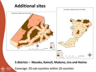 Smallholder pig value chains transformation in Uganda: Results, lessons and insights