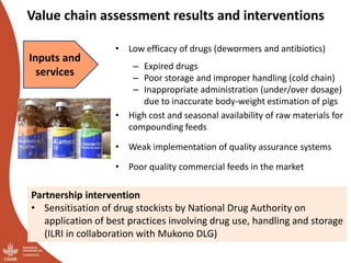 Smallholder pig value chains transformation in Uganda: Results, lessons and insights