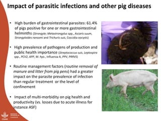 Smallholder pig value chains transformation in Uganda: Results, lessons and insights