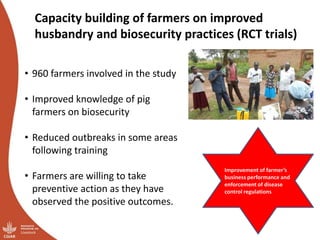 Smallholder pig value chains transformation in Uganda: Results, lessons and insights