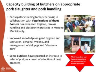 Smallholder pig value chains transformation in Uganda: Results, lessons and insights