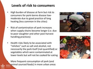 Smallholder pig value chains transformation in Uganda: Results, lessons and insights
