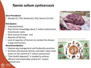 Smallholder pig value chains transformation in Uganda: Results, lessons and insights