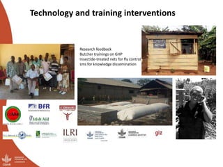 Smallholder pig value chains transformation in Uganda: Results, lessons and insights