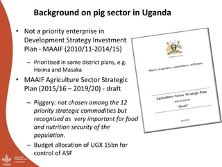 Smallholder pig value chains transformation in Uganda: Results, lessons and insights