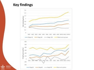 Smallholder pig value chains transformation in Uganda: Results, lessons and insights