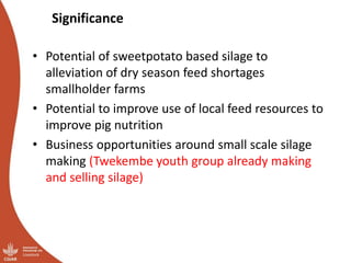 Smallholder pig value chains transformation in Uganda: Results, lessons and insights