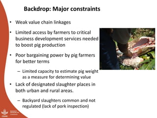 Smallholder pig value chains transformation in Uganda: Results, lessons and insights