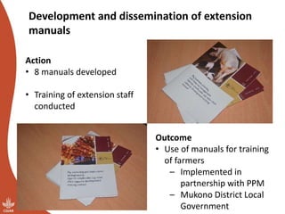 Smallholder pig value chains transformation in Uganda: Results, lessons and insights