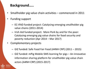 Smallholder pig value chains transformation in Uganda: Results, lessons and insights