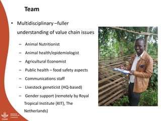 Smallholder pig value chains transformation in Uganda: Results, lessons and insights