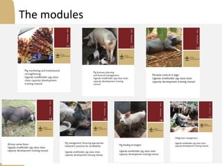 Introducing the Uganda pig value chain training modules