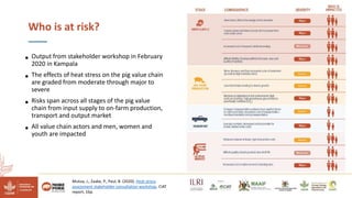 Reducing climate-induced heat stress in pigs in Uganda―Policy actions