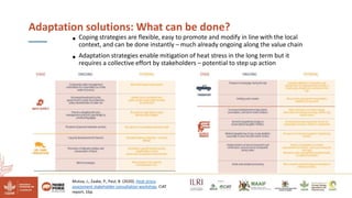 Reducing climate-induced heat stress in pigs in Uganda―Policy actions