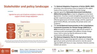 Reducing climate-induced heat stress in pigs in Uganda―Policy actions