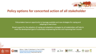 Reducing climate-induced heat stress in pigs in Uganda―Policy actions