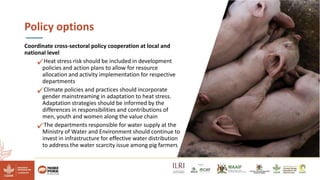 Reducing climate-induced heat stress in pigs in Uganda―Policy actions