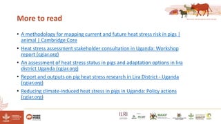 Reducing climate-induced heat stress in pigs in Uganda―Policy actions