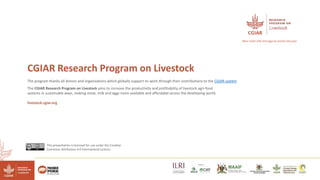 Reducing climate-induced heat stress in pigs in Uganda―Policy actions