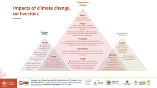Reducing climate-induced heat stress in pigs in Uganda―Policy actions