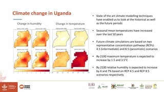Reducing climate-induced heat stress in pigs in Uganda―Policy actions