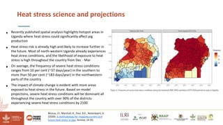 Reducing climate-induced heat stress in pigs in Uganda―Policy actions