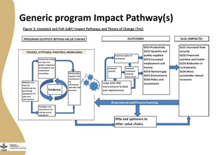 Generic program Impact Pathway(s)
 
