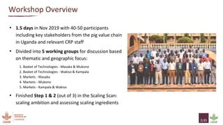 Uganda pig value chain scaling workshop: Summary and next steps