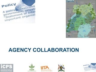 AGENCY COLLABORATION
 