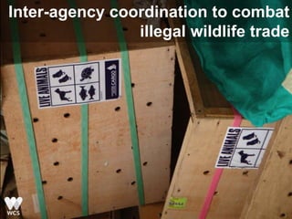 Inter-agency coordination to combat
illegal wildlife trade
 