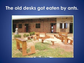The old desks got eaten by ants.
 
