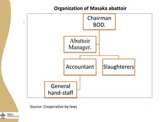 Organization of Masaka abattoir
.
Chairman
BOD.
Accountant
General
hand-staff
Slaughterers
Abattoir
Manager.
Source: Cooperative by-laws
 