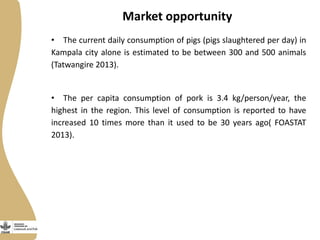 Business plan for a centralized pig abattoir in Masaka, Uganda