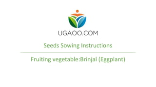 Seeds Sowing Instructions
Fruiting vegetable:Brinjal (Eggplant)
 