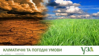 Українська зернова асоціація
Ukrainian Grain Association19/06/2019 CONFIDENTIEL24
КЛІМАТИЧНІ ТА ПОГОДНІ УМОВИ
 