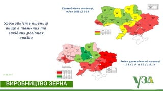 01.05.2017
Урожайність пшениці
вище в північних та
західних регіонах
країни
Зміна урожайності пшениці
1 8 / 1 9 vs 1 7 / 1 8 , %
Урожайність пшениці,
т/га 2018 /2 0 1 9
ВИРОБНИЦТВО ЗЕРНА
 