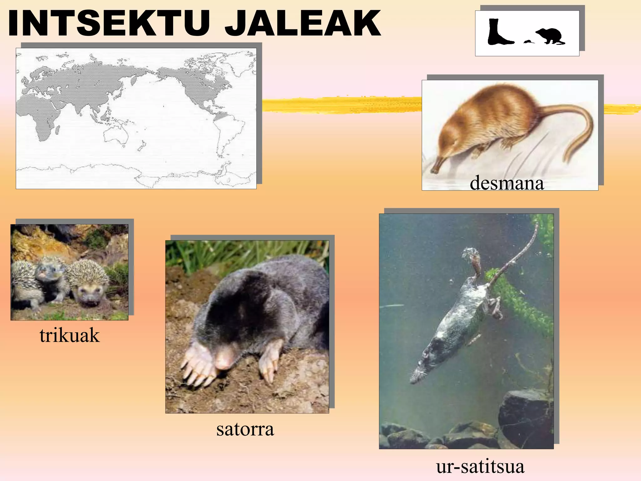 INTSEKTU JALEAK
trikuak
satorra
ur-satitsua
desmana
 
