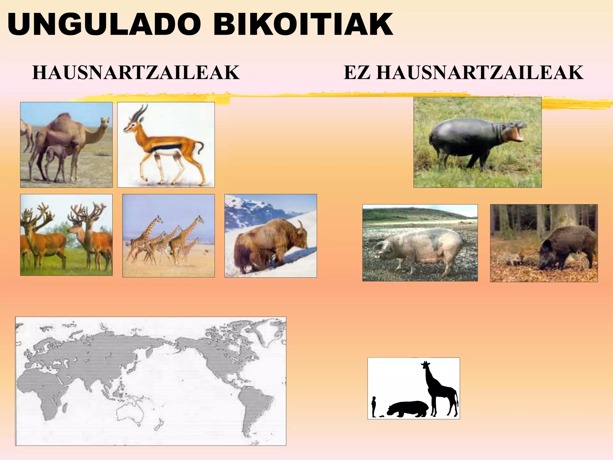 UNGULADO BIKOITIAK
HAUSNARTZAILEAK EZ HAUSNARTZAILEAK
 