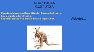UGAZTUNEN
GORPUTZA
Ugaztunek azalean ileak dituzte. Guruinak dituzte.
Lau gorputz adar dituzte.
Enborra, isatsa eta burua dituzte ugaztunek. Adibidez...
 